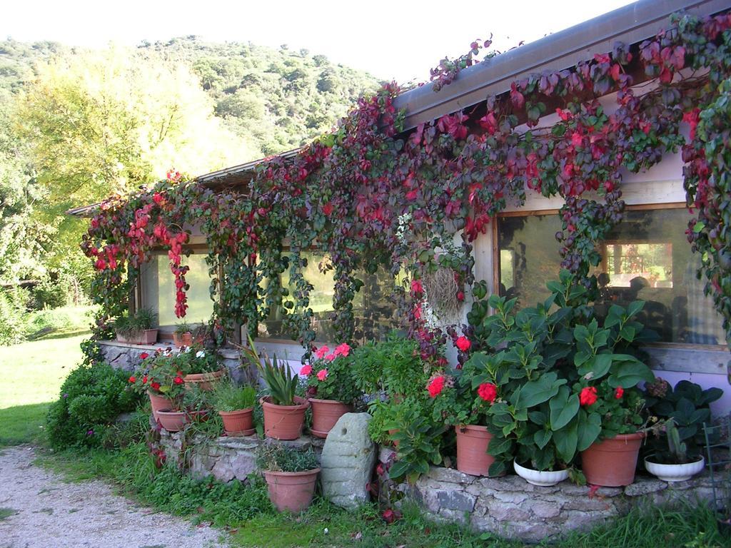 Sas Abbilas Bonorva Exterior photo